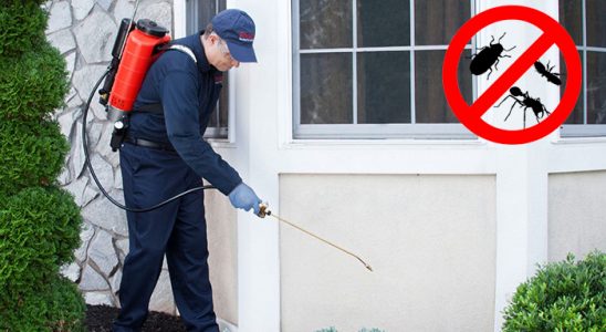 Kozlu Böcek İlaçlama böcek ilaçlama ve haşere kontrolü — ilaclama-tr.com